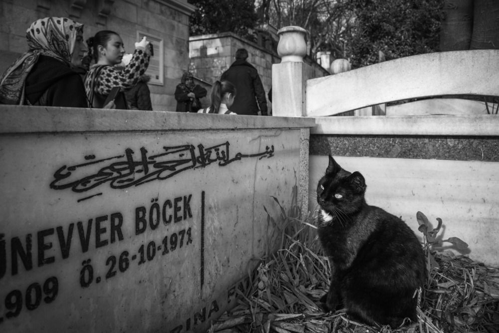 Photograph by Esra Erdoğdu