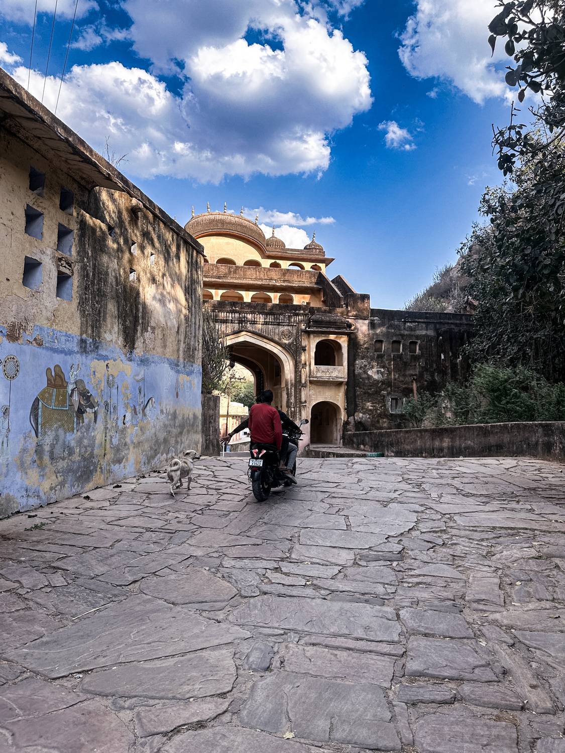 Фотография #13283465