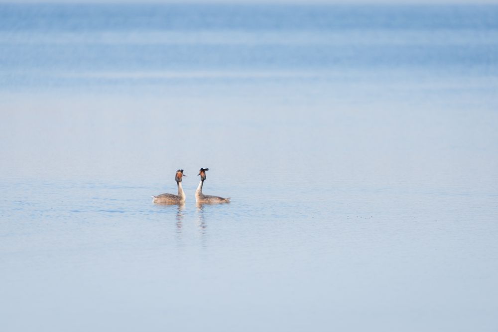 Мир для двоих