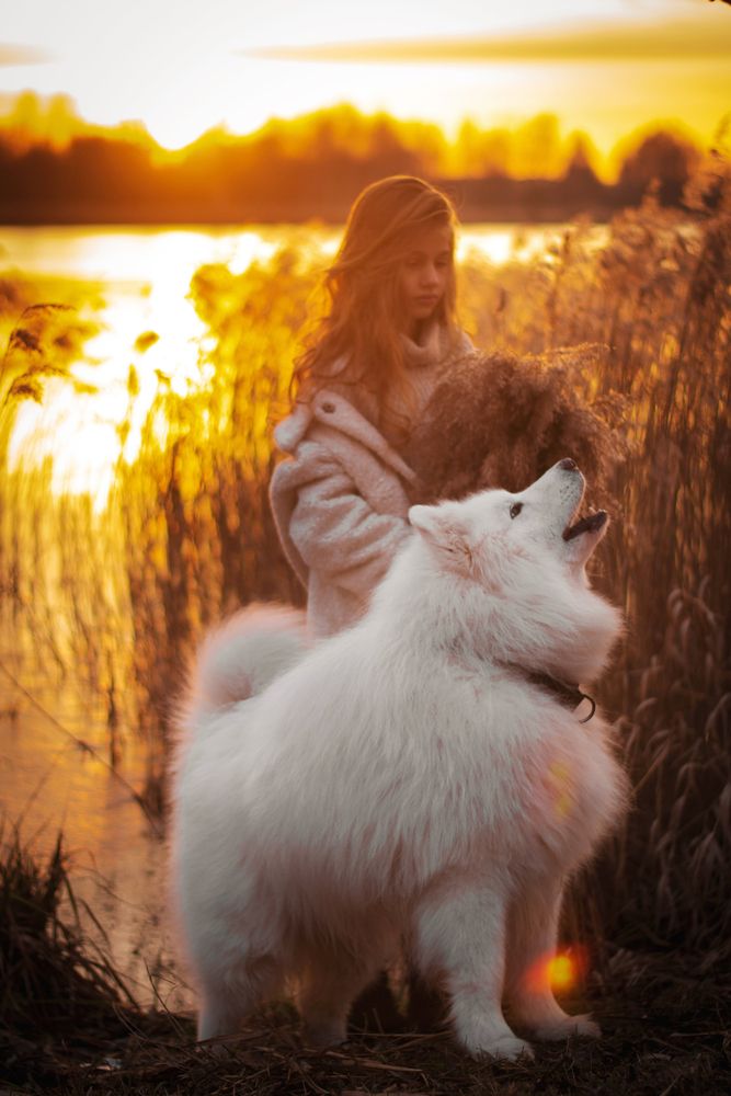 Photograph by Юлия Кременевская