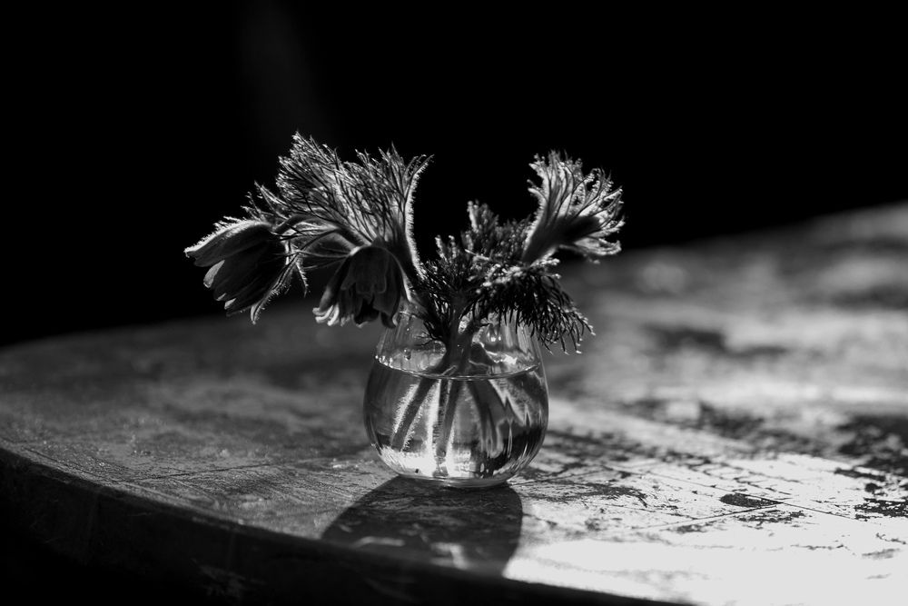 Photograph by Ольга