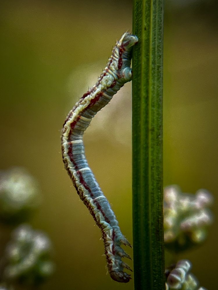 Photograph by Татьяна Михайловна