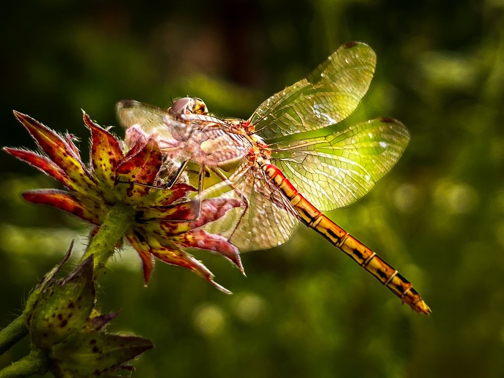 Photograph by Татьяна Михайловна