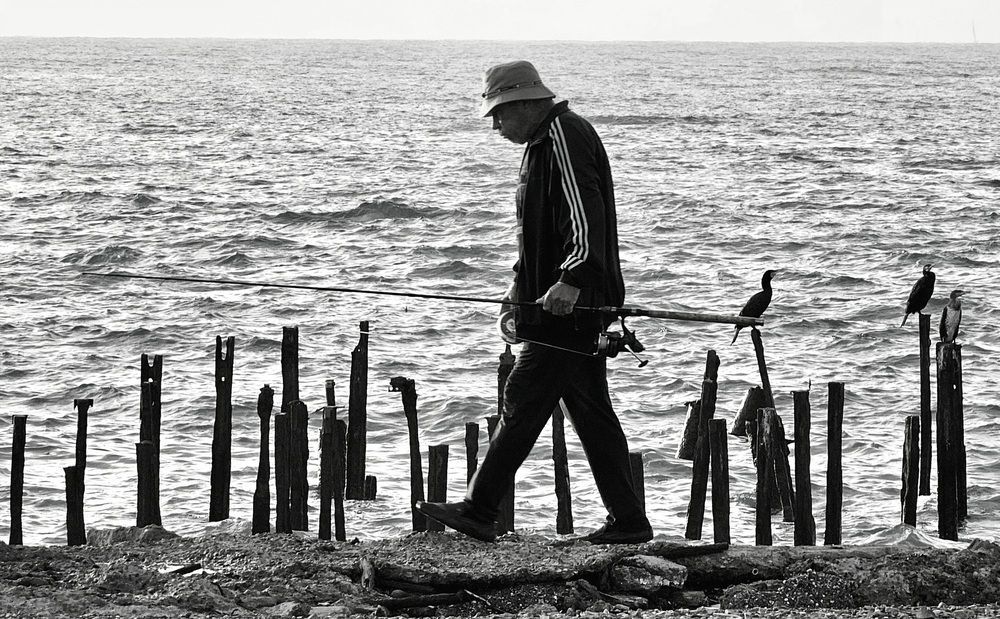 Photograph by Пирог Борис