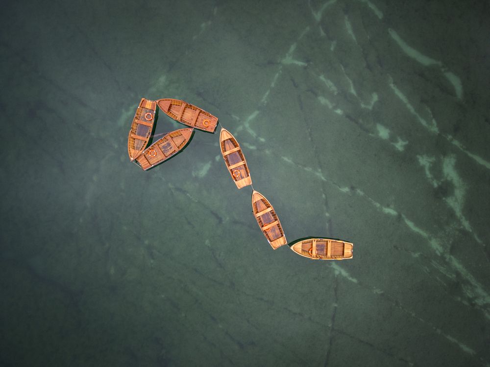 The Serpent at Rest