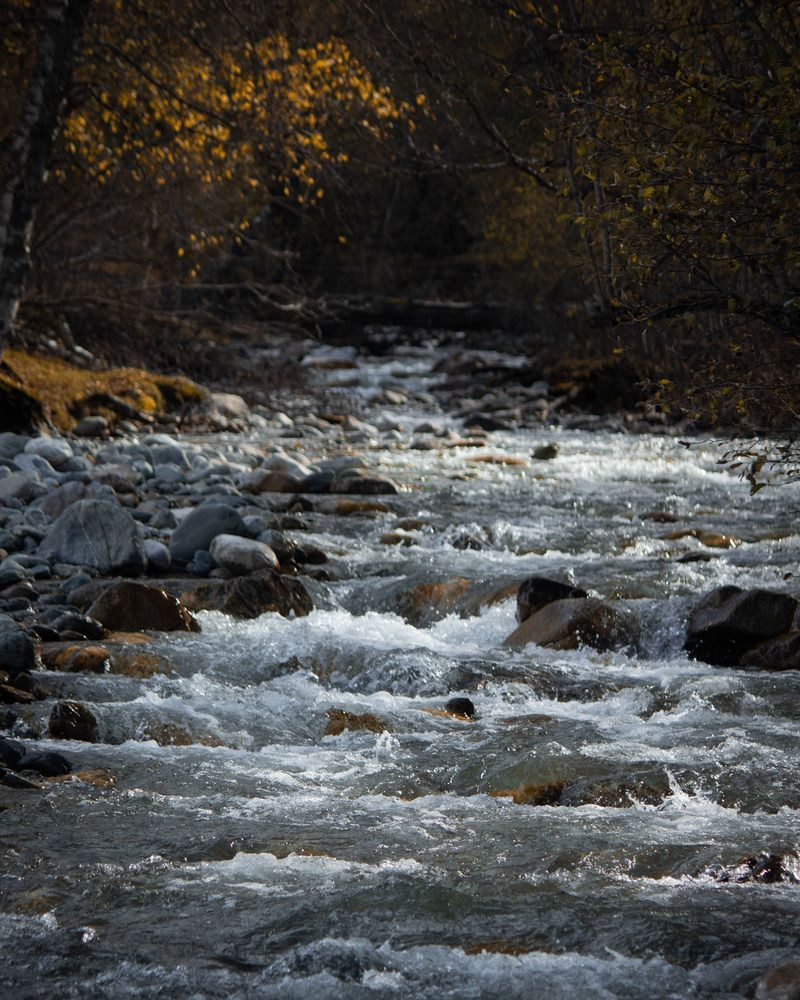 Photograph by Иван Весельников