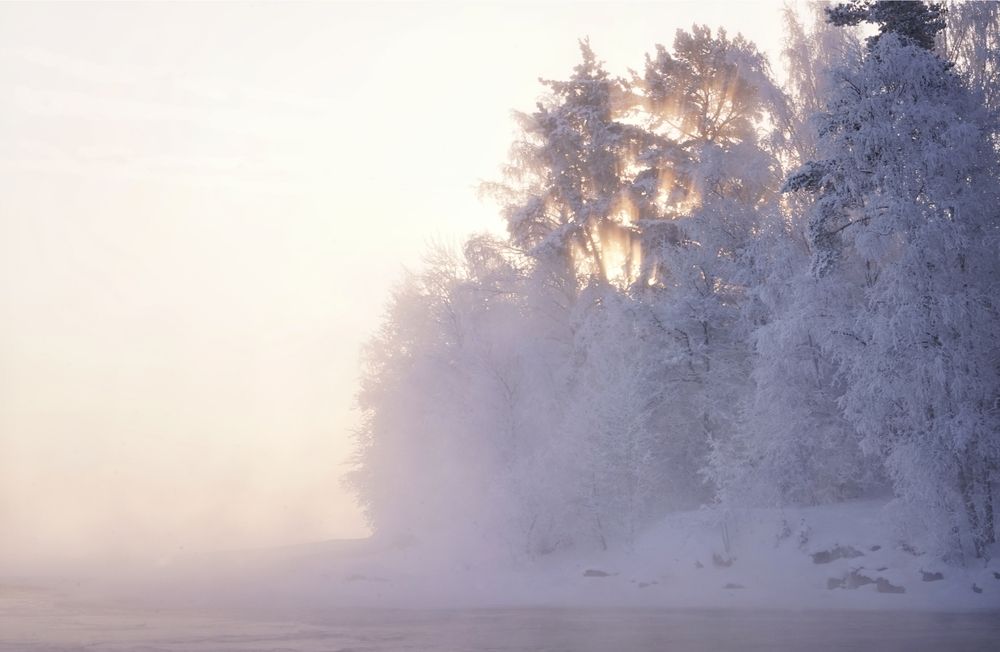 Photograph by Таланова Алёна