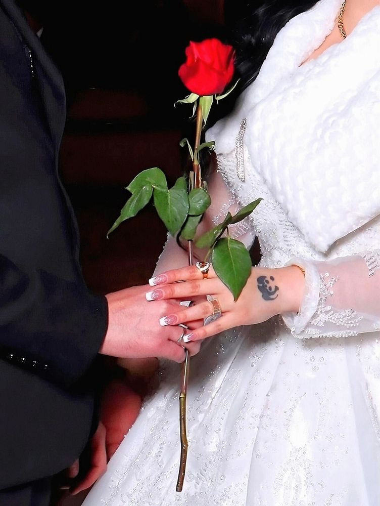 Photograph by Shaiban photography