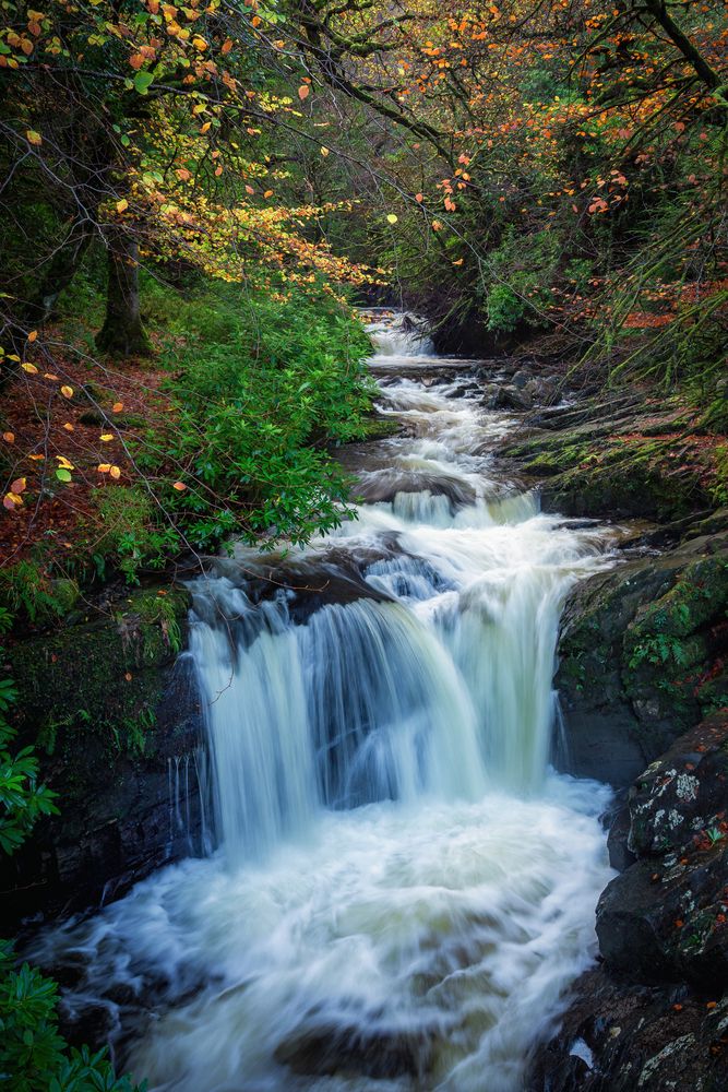 Photograph by Anatoly Chomko