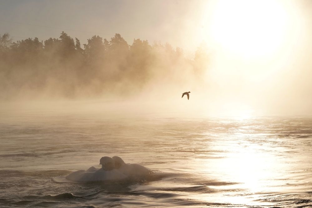 Photograph by Таланова Алёна