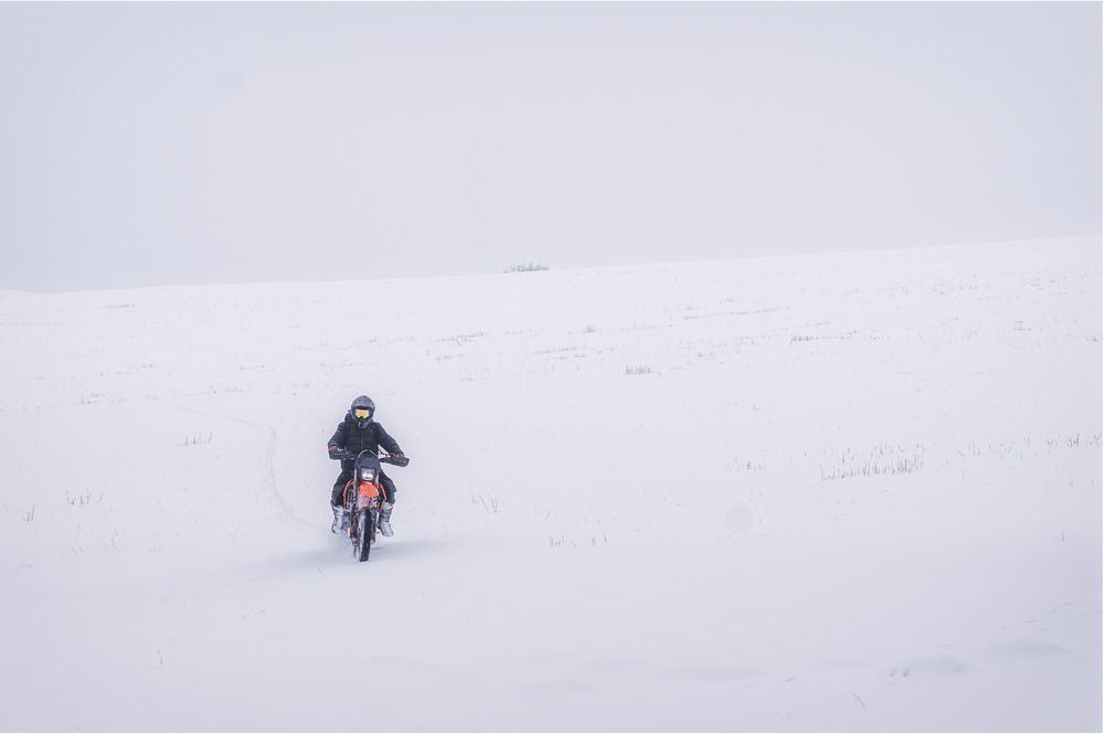 Into the White