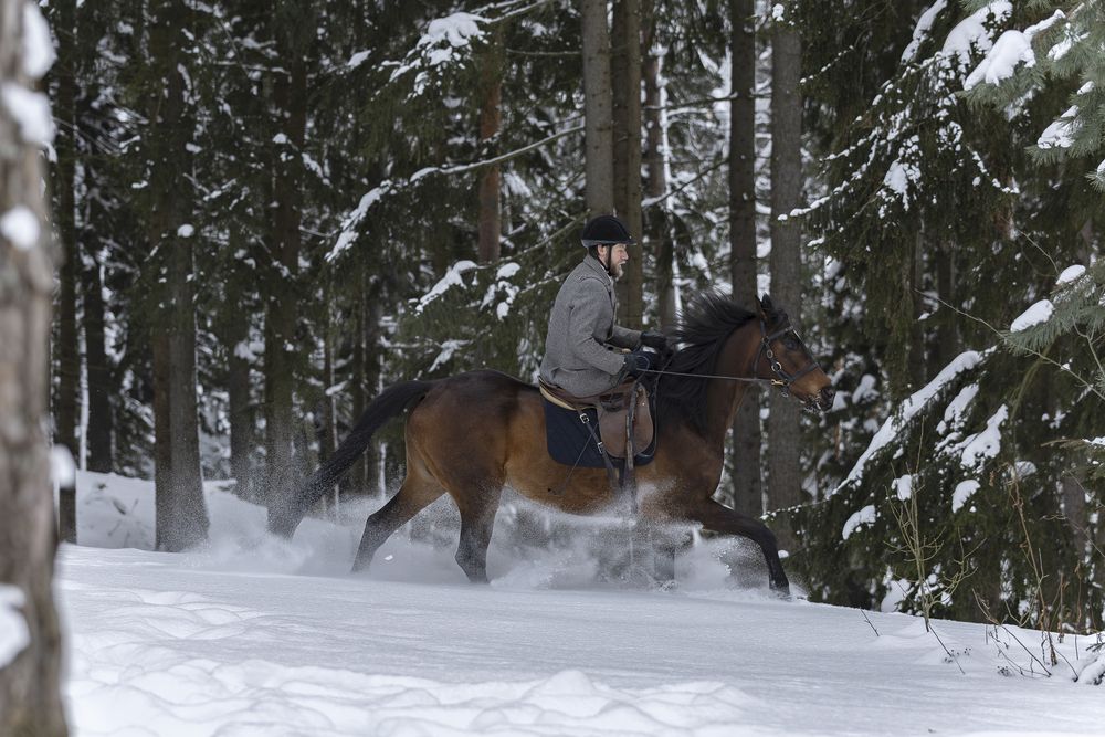Photo #13283786