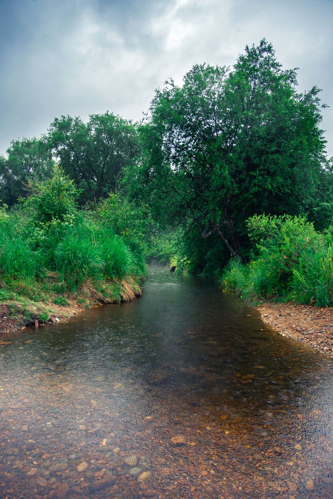 Photograph by Дана Трубиньш