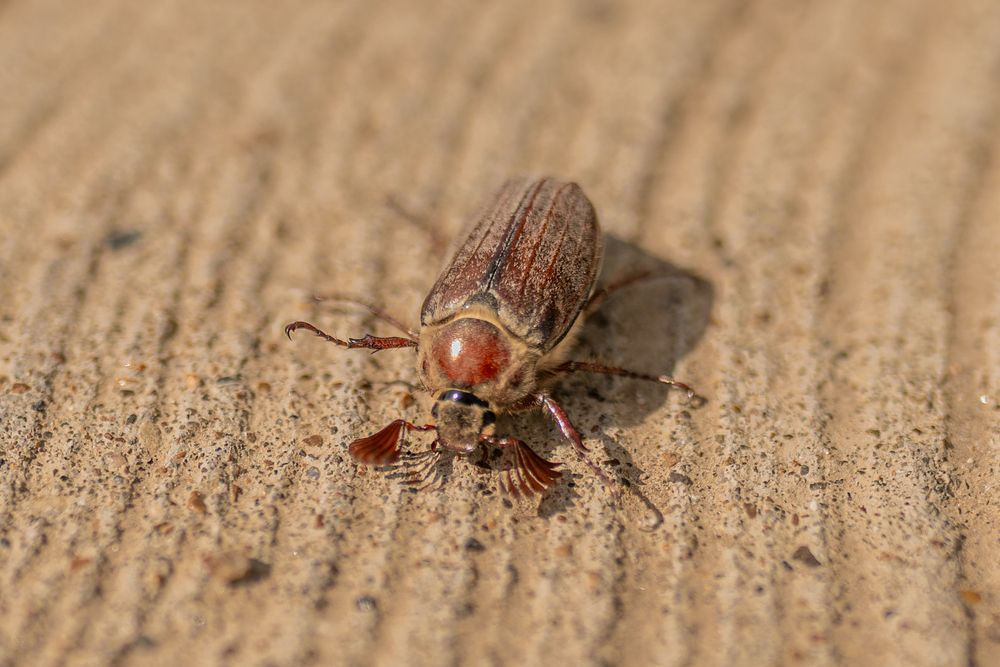 Photograph by Евгений Кириллов