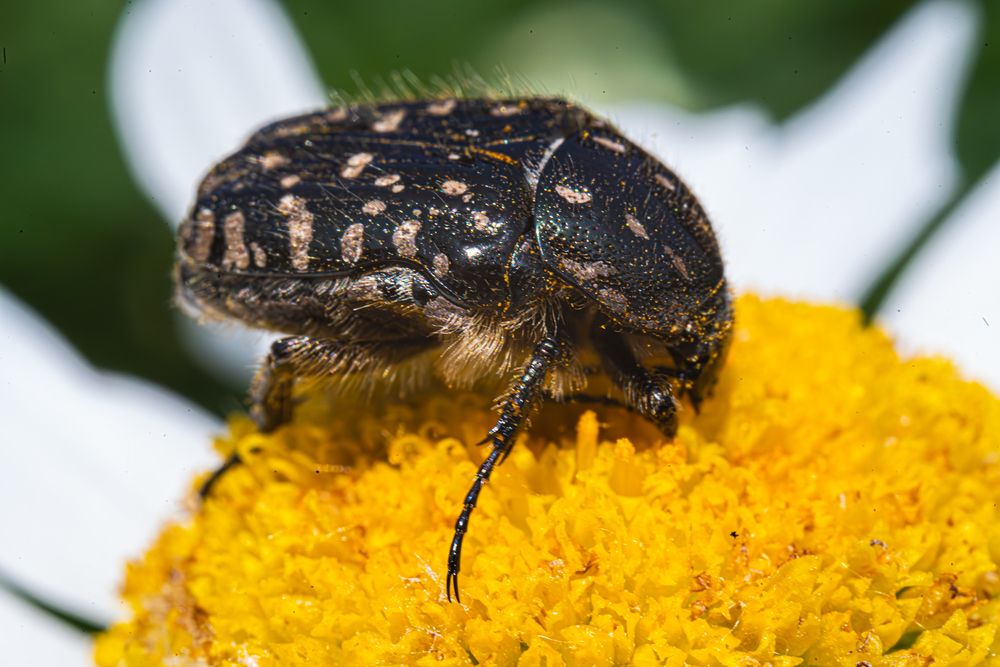Photograph by Евгений Кириллов