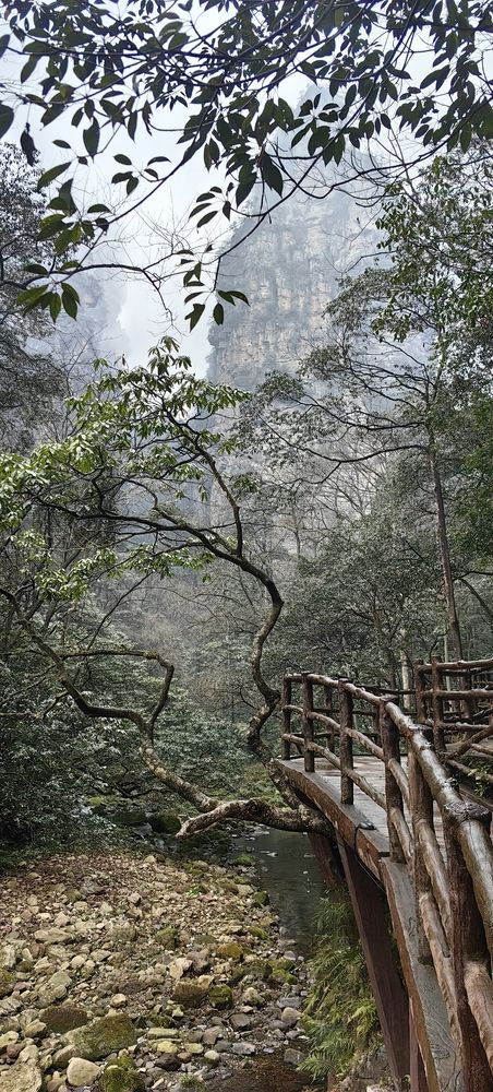 Photograph by Светлана Зыкова