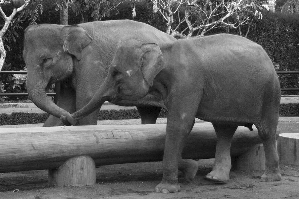 Photograph by Александр Журавлев