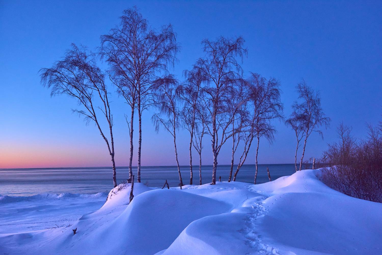 Фотография #13283979