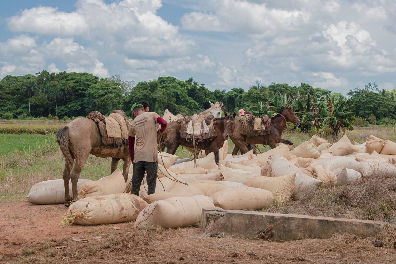 Photo #13284046