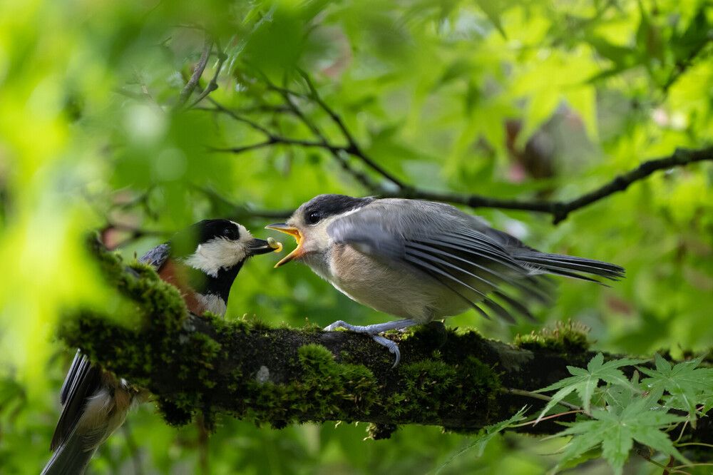 Photograph by Nonnie