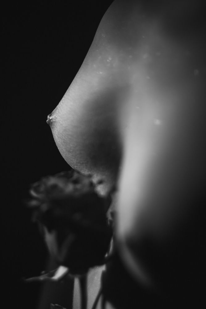 Photograph by Александр Комков