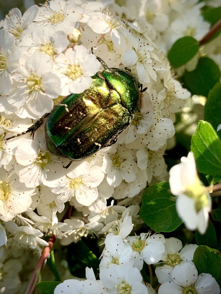 Photograph by Елена Сушкова