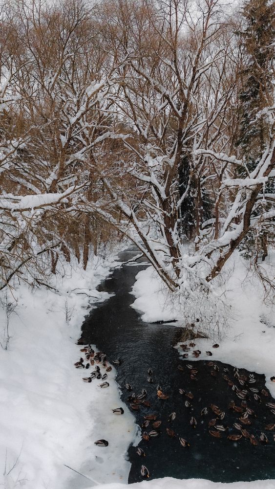 Photograph by Maria Stankevich