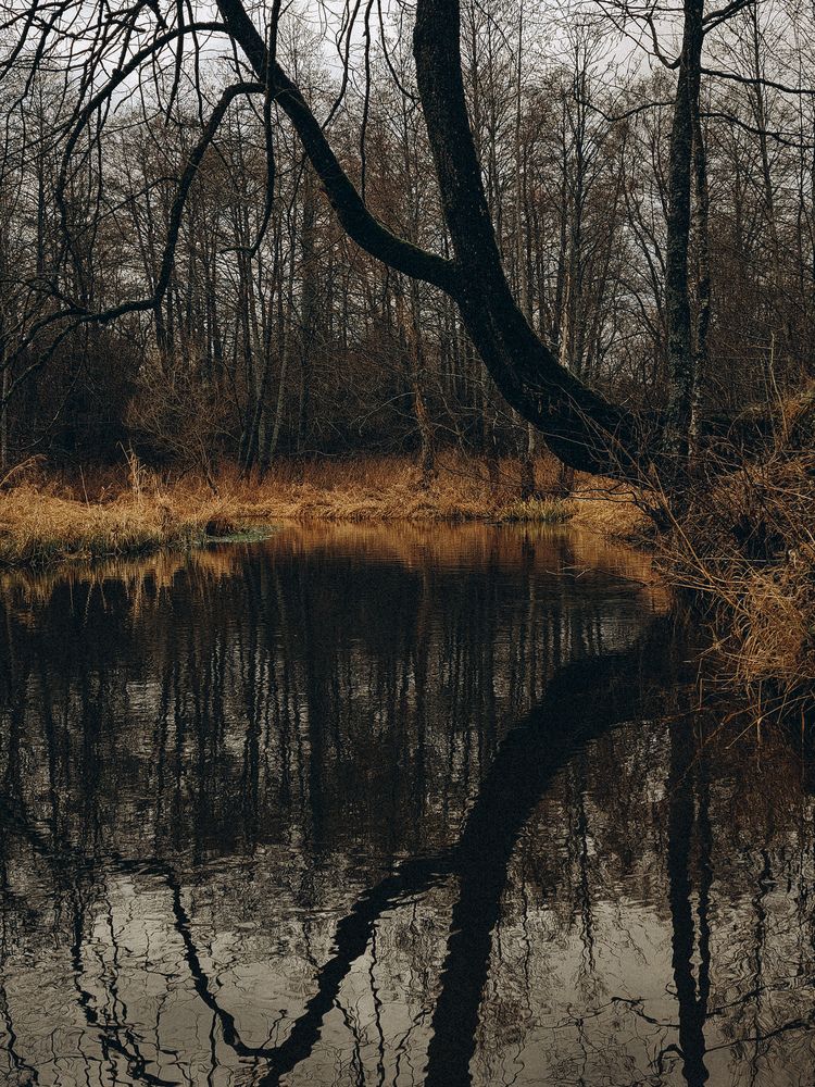 Photograph by Maria Stankevich