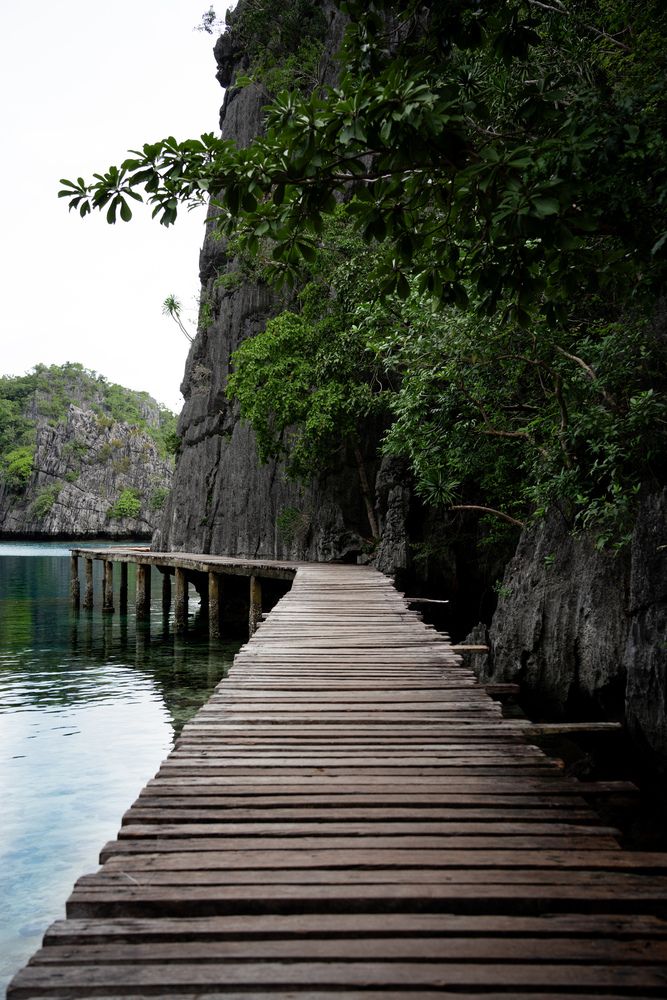 Photograph by Alina Orlova