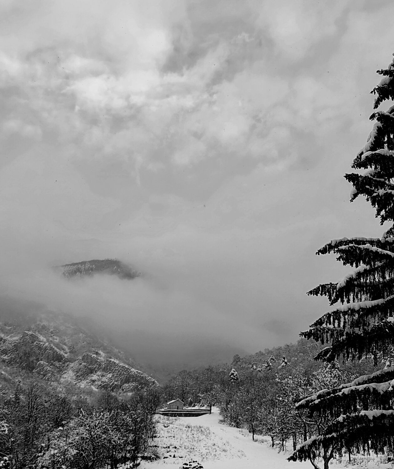 Photo #13284262