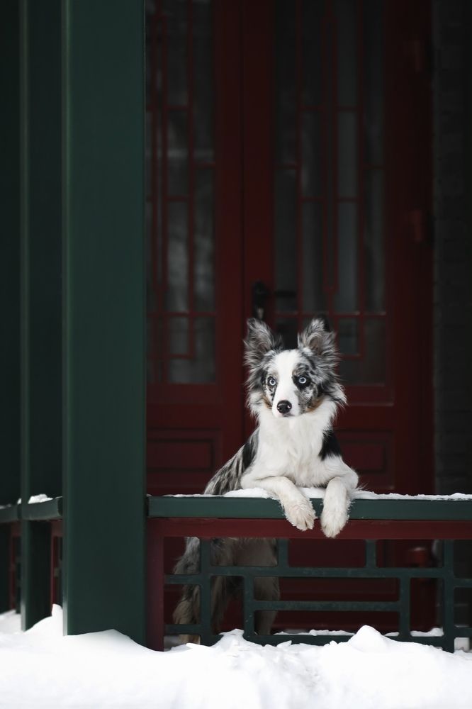Photograph by Шитикова Ксения