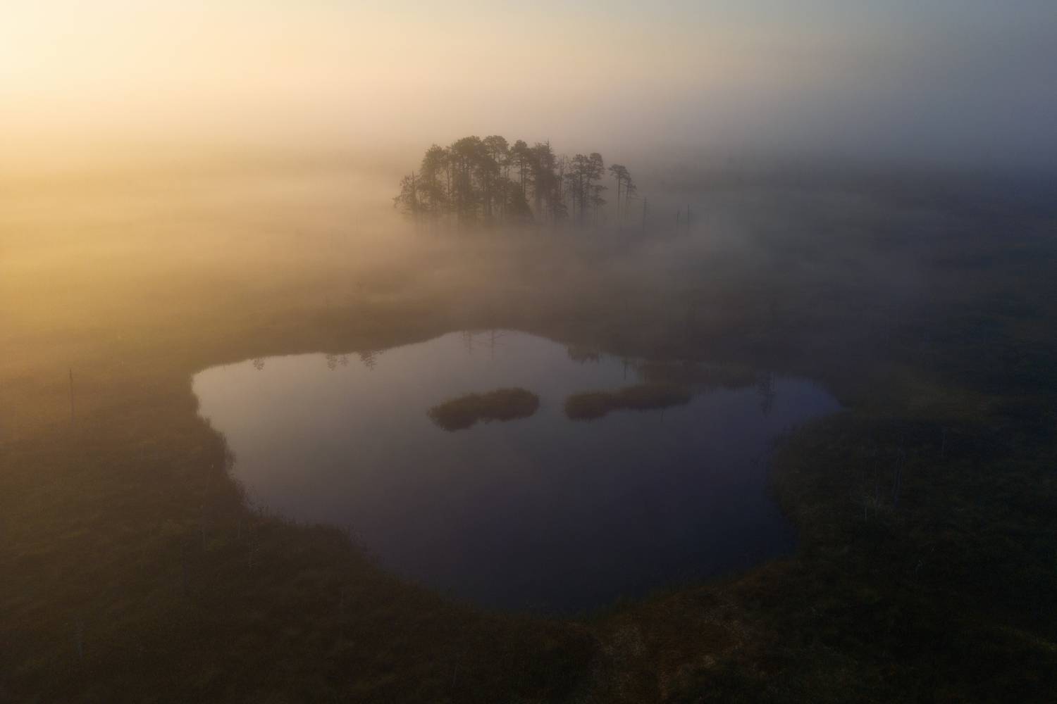 Фотография #13284357