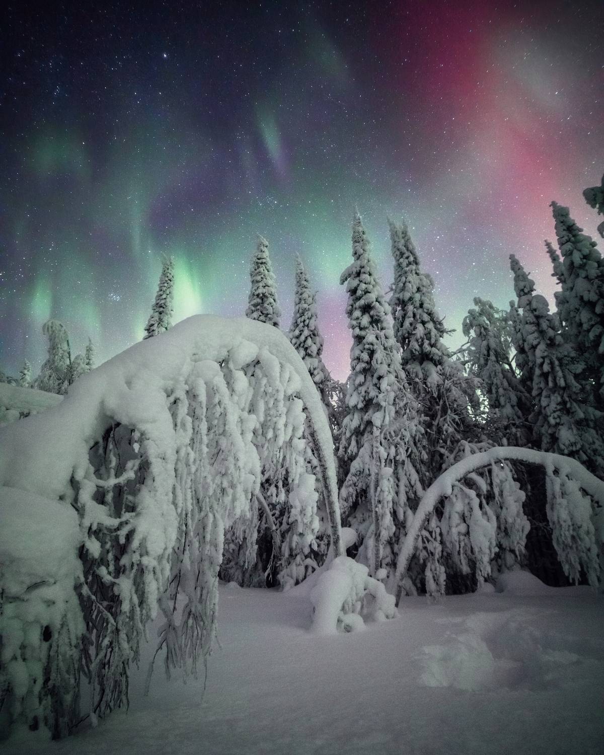 Фотография #13284359