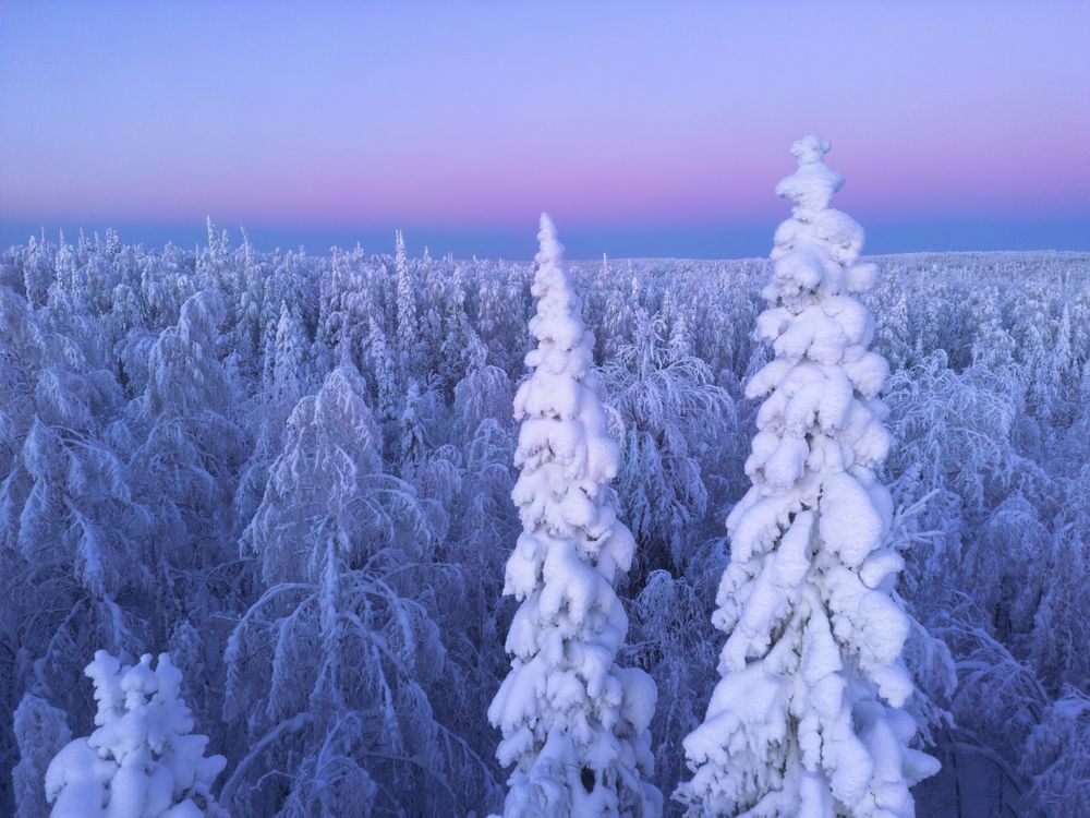 Фотография автора Иван Чаланов