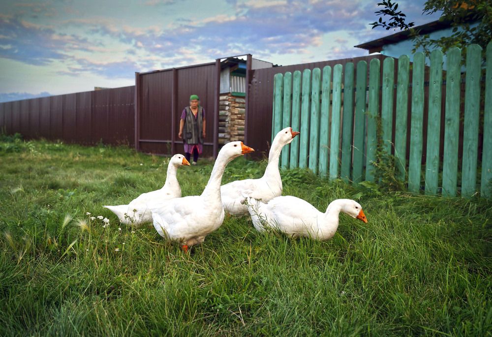 Photograph by Мишустина Татьяна