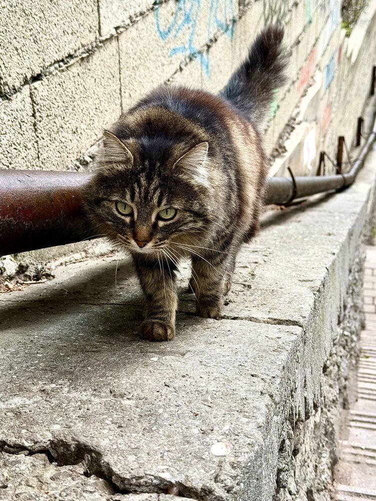 Photograph by Евгения Немкова
