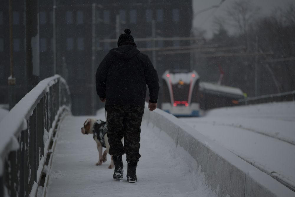 Photograph by Алексеев Сергей