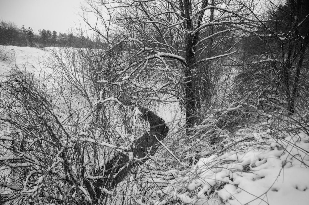 Photograph by Miglena Koeva