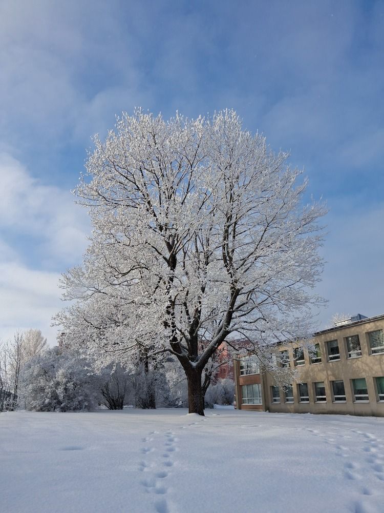 Photograph by Инна Демкив