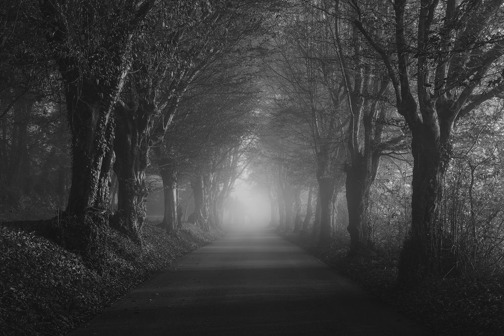 Photograph by de Franzoni Thomas