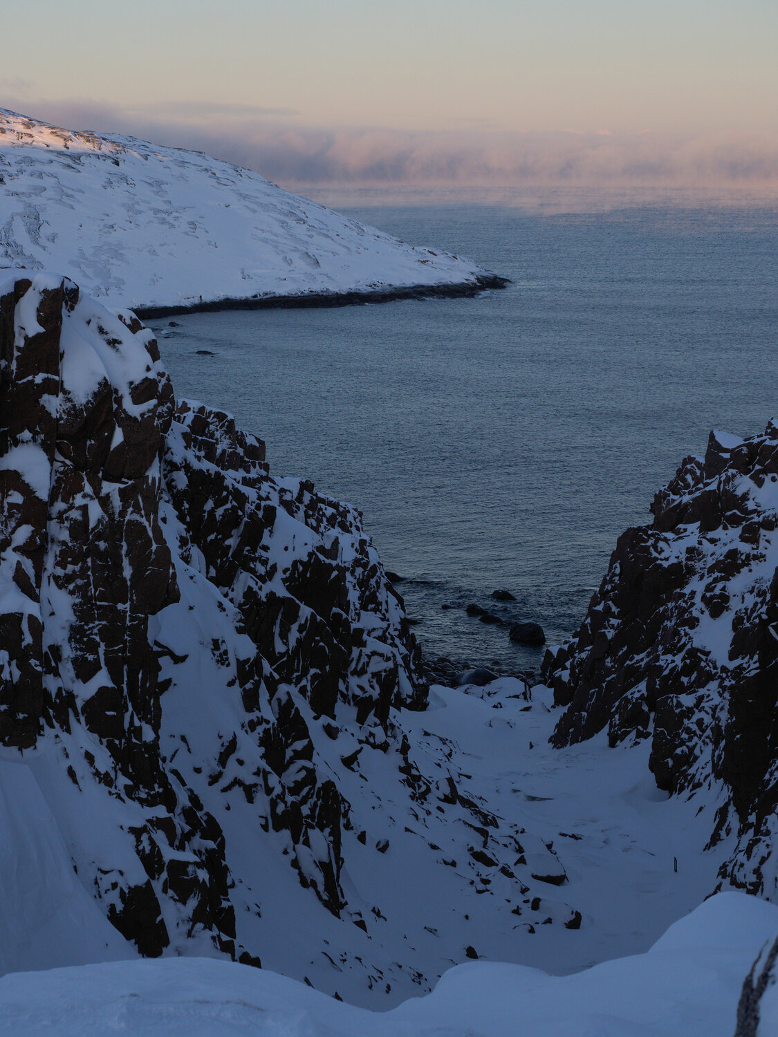 Photo #13284646