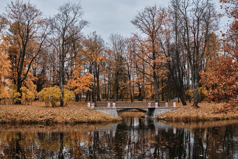 Photograph by Алексей Малов