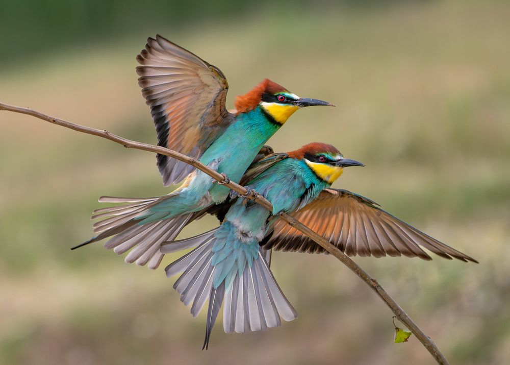 Фотография автора Дорн Оксана