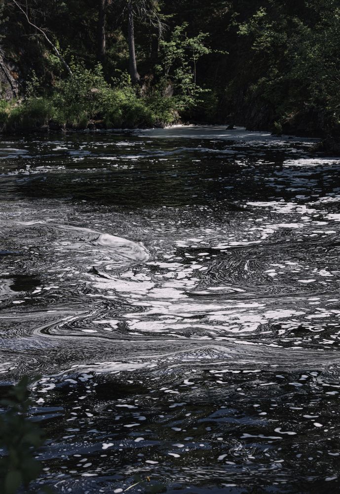 Photograph by Оксана Серёгина