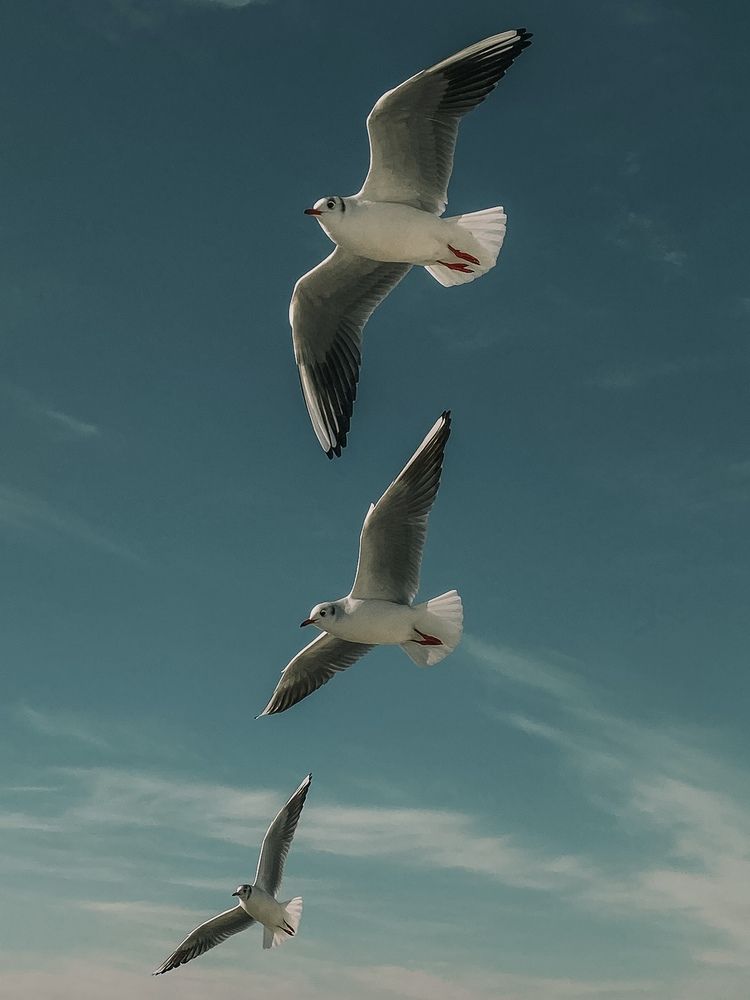 Photograph by Андрей Васильев