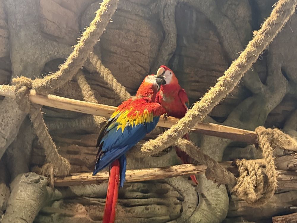 Photograph by Светлана Парамонова