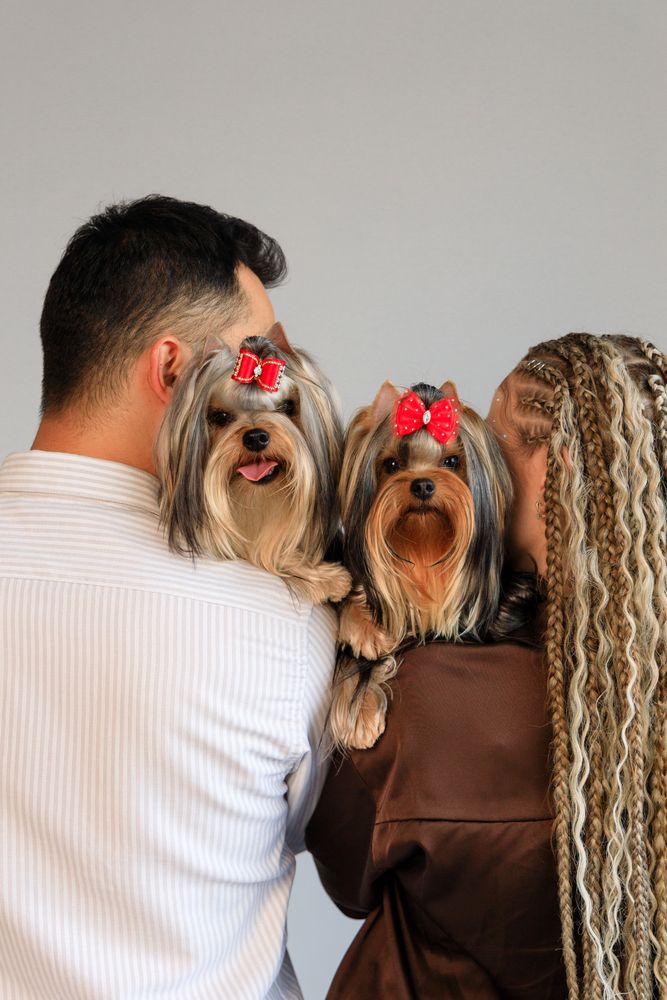 Фотография автора Александра Корнеева