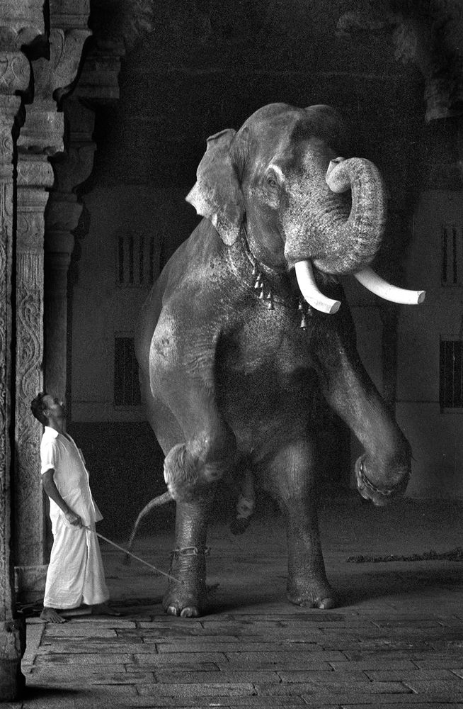 Photograph by Partha Kar