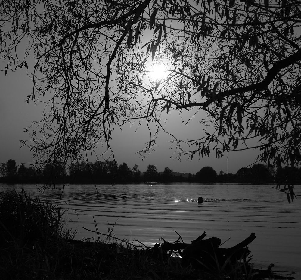 Фотография автора Елена Лаврова