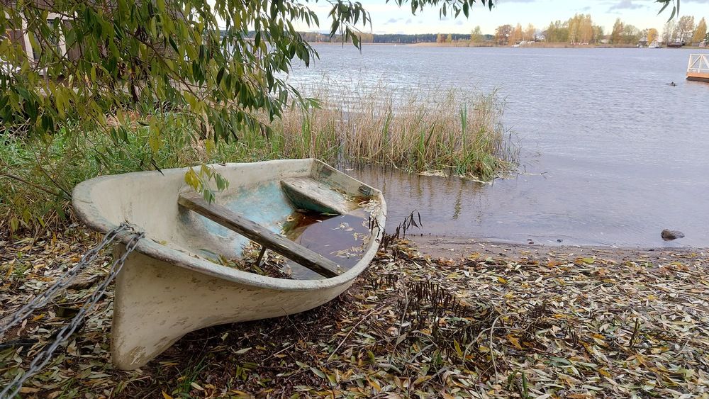 Photo #13284917